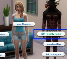 Pose Player для The Sims 4