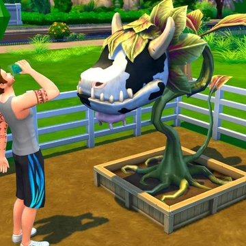 The Sims 4: Где найти жвачное растение (Проглотис Людоедию)