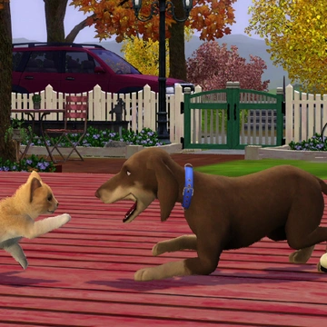 Аниматор The Sims 4 работает с «четвероногими»