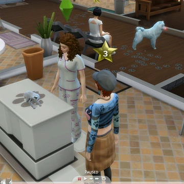 Обзор трансляции «The Sims 4: Кошки и собаки» о ветеринарной клинике