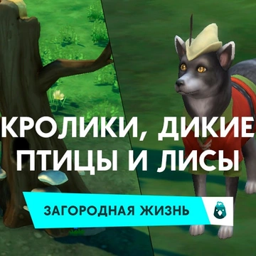 Кролики, дикие птицы и лисы в «The Sims 4 Загородная жизнь»
