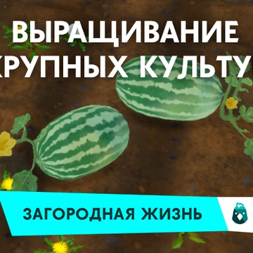 Крупные культуры в «The Sims 4 Загородная жизнь»