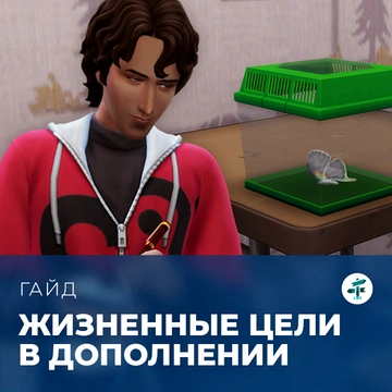 Жизненные цели в «The Sims 4: Навстречу приключениям»