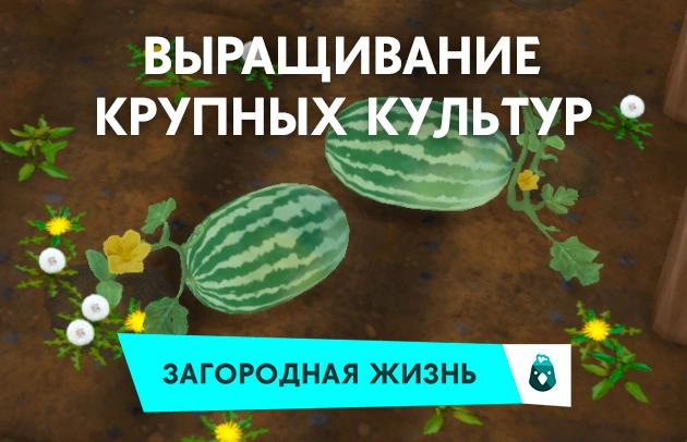 Крупные культуры в «The Sims 4 Загородная жизнь»