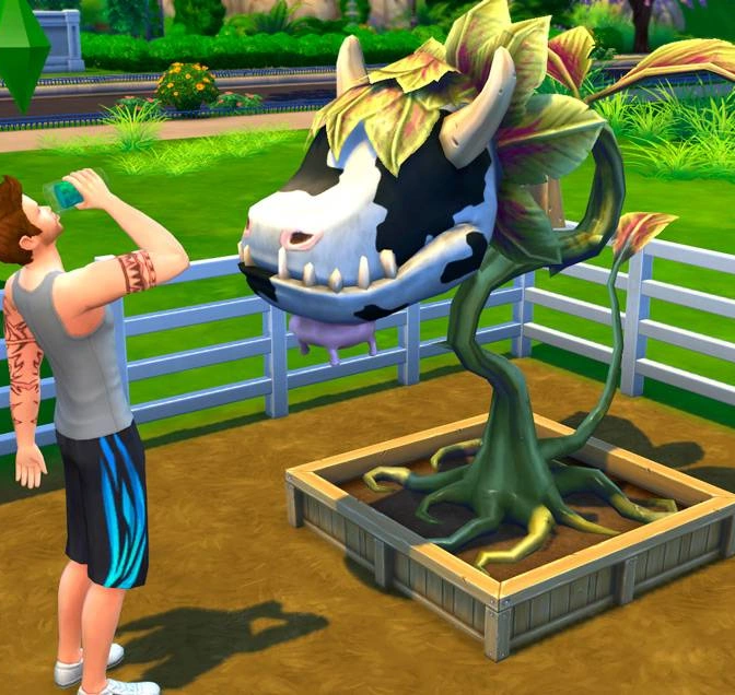 The Sims 4: Где найти жвачное растение (Проглотис Людоедию)