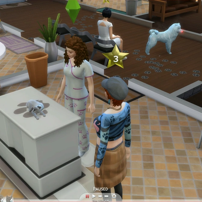 Обзор трансляции «The Sims 4: Кошки и собаки» о ветеринарной клинике