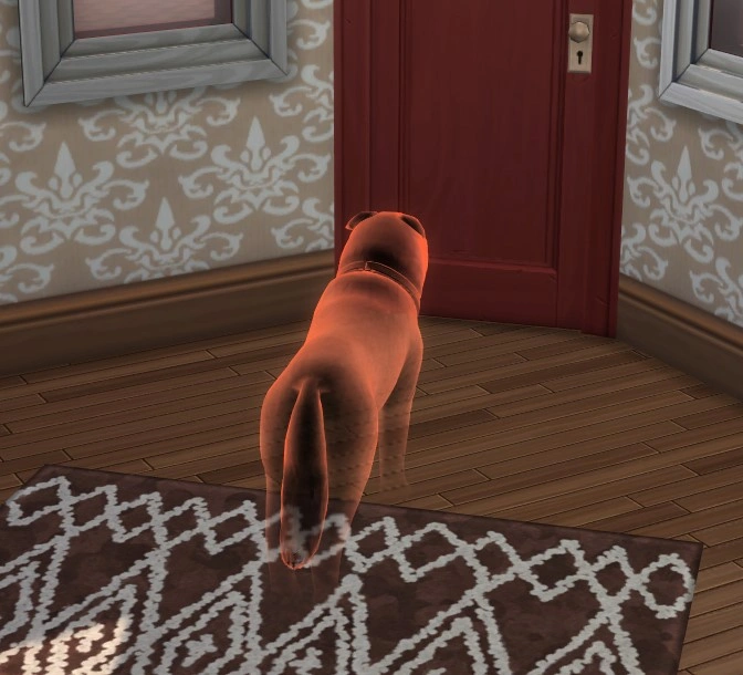 Как заставить питомца повзрослеть или воскресить его в «The Sims 4: Кошки и собаки»