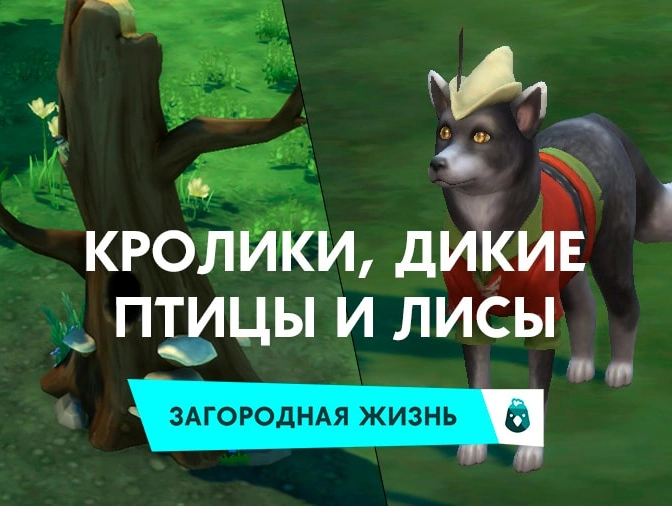 Кролики, дикие птицы и лисы в «The Sims 4 Загородная жизнь»