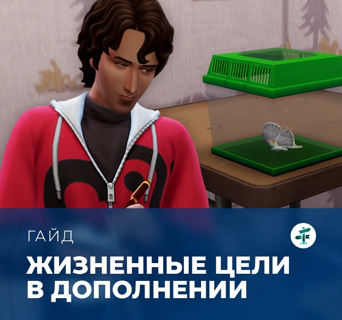 Жизненные цели в «The Sims 4: Навстречу приключениям»