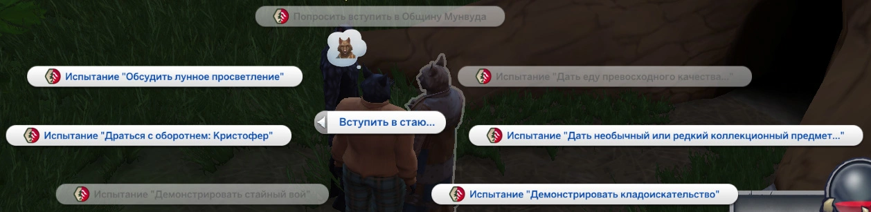 испытания при вступлении в стаю