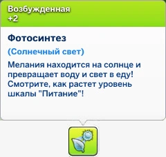 мудлет фотосинтез из-за солнечного света
