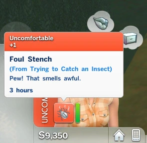 InsectBlog03