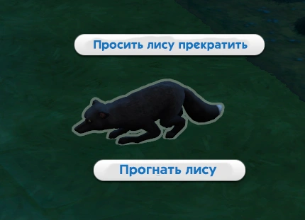 попросить лису прекратить или прогнать