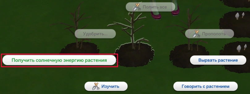 получить солнечную энергию растения